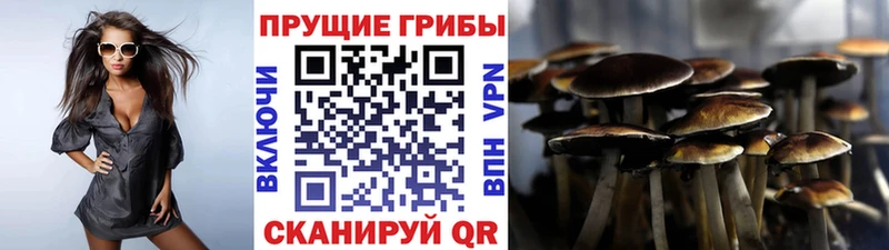 shop официальный сайт  Берёзовский  Галлюциногенные грибы Magic Shrooms 